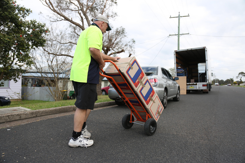 professional movers